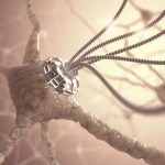 transhumanisme-amelioration-du-corps-neurone