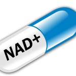 nad-capsule-longevity-life-span