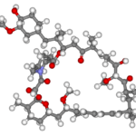 long long life rapamycin sirolimus aging