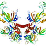 Hack aging with the study of proteomics long long life transhumanism longevity anti aging nbic 1